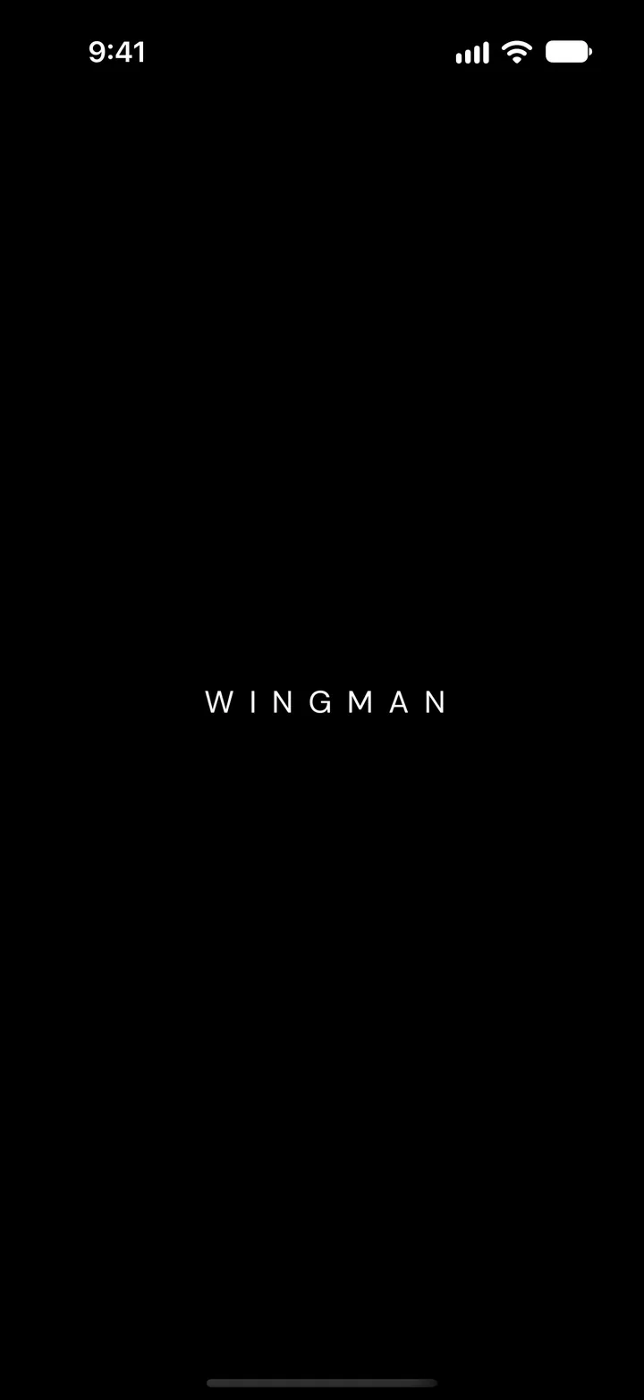 The Wingman launch screen